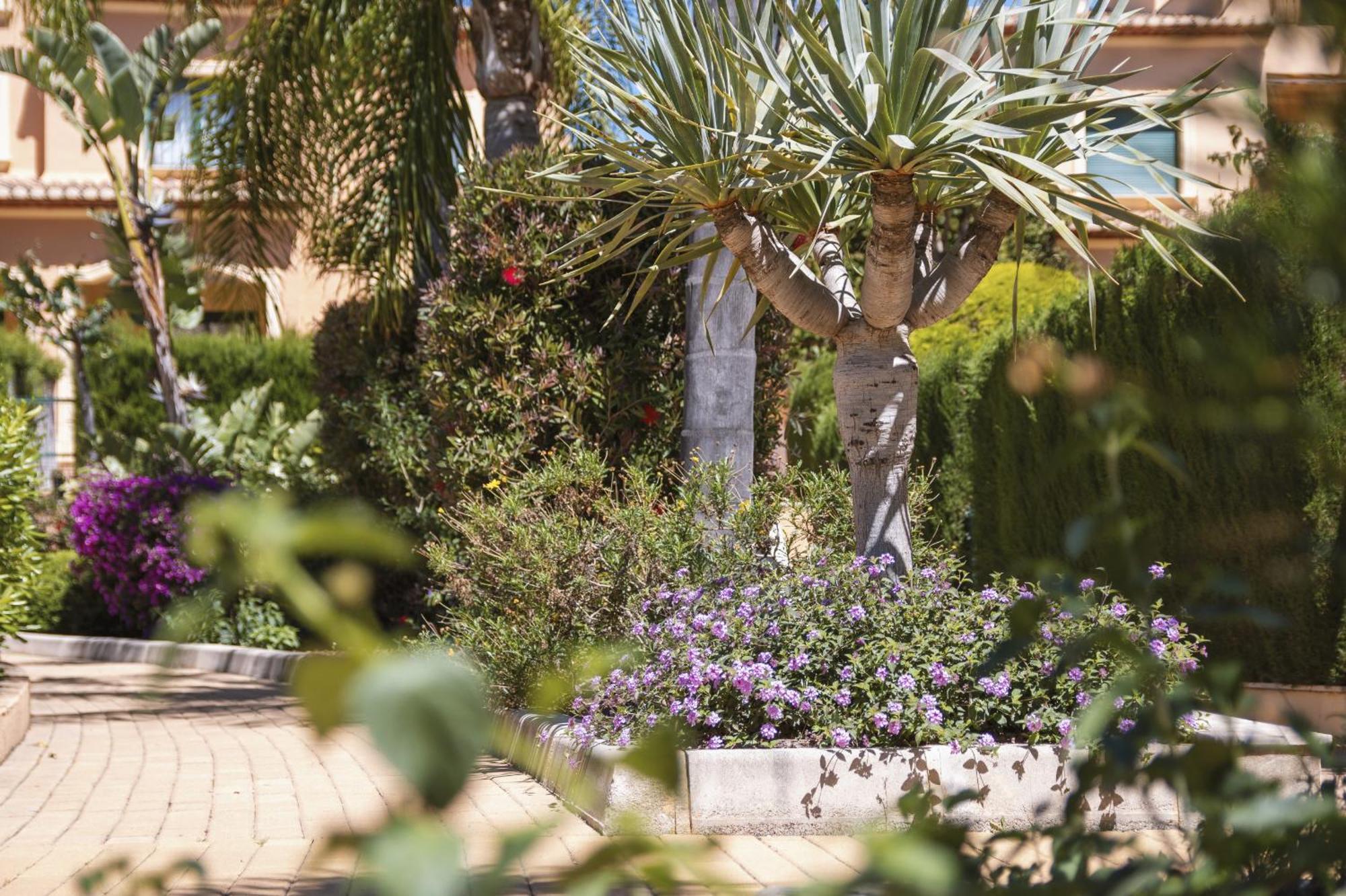 Floridamar Appartement Jávea Buitenkant foto