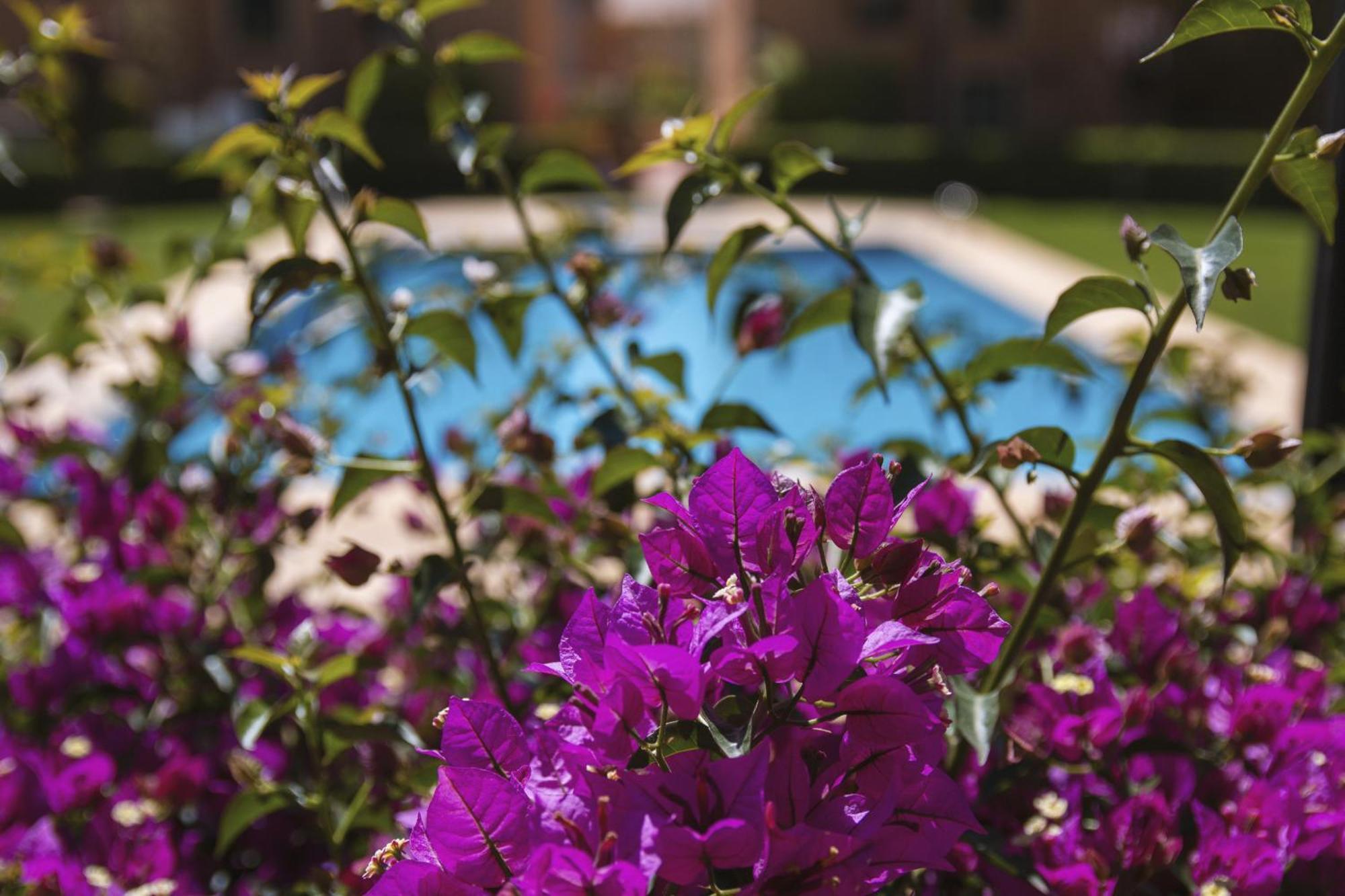 Floridamar Appartement Jávea Buitenkant foto
